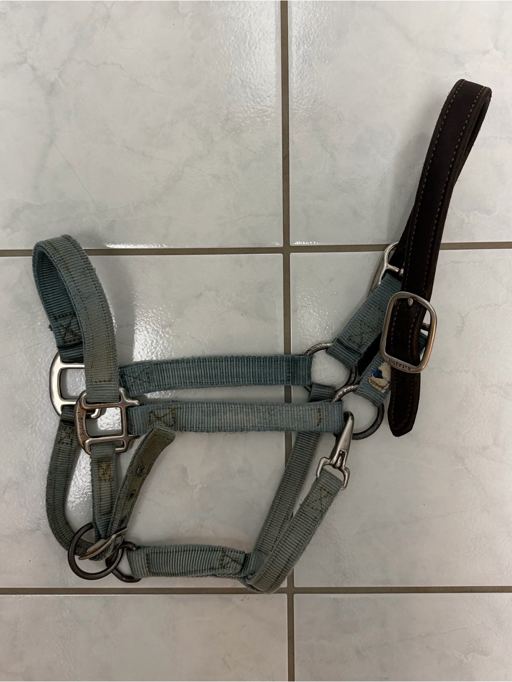 Perri’s Equine Breakaway Adjustable Chin & Throat Snap Horse Halter